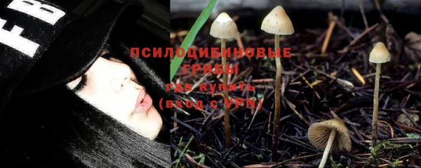 spice Алексеевка