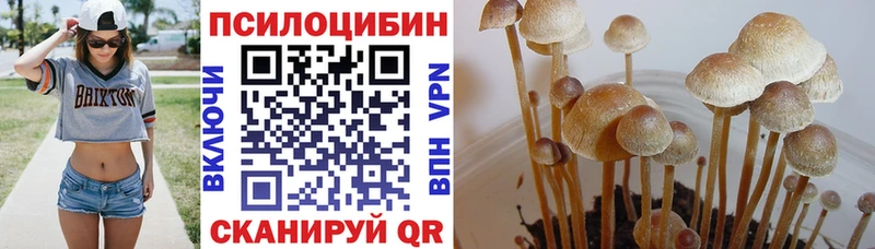 где продают   mega как зайти  Псилоцибиновые грибы Cubensis  Ивдель 